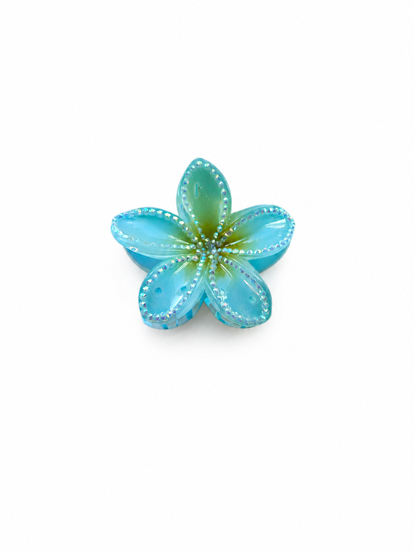 Ocean Mist Claw
